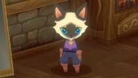 Kitaria Fables: Deluxe Edition screenshot thumbnail