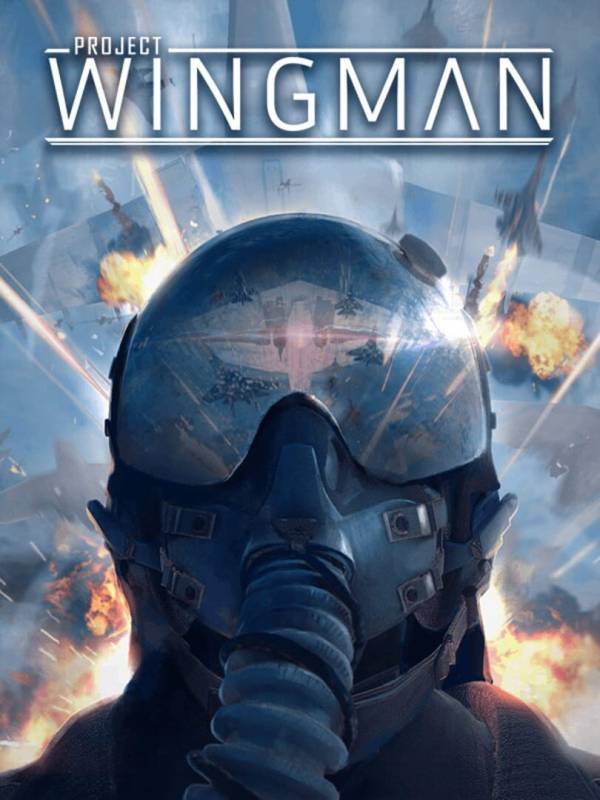 Project Wingman cover