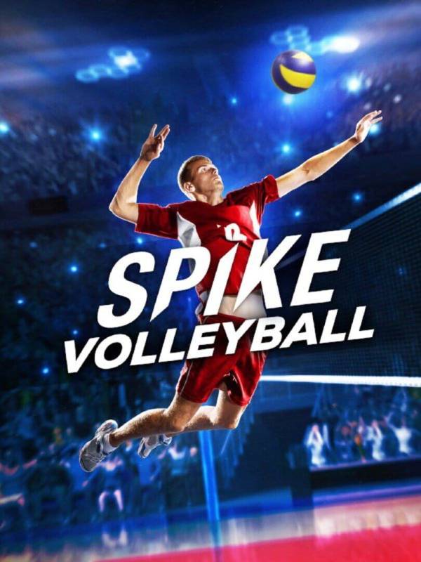 Spike Volleyball image