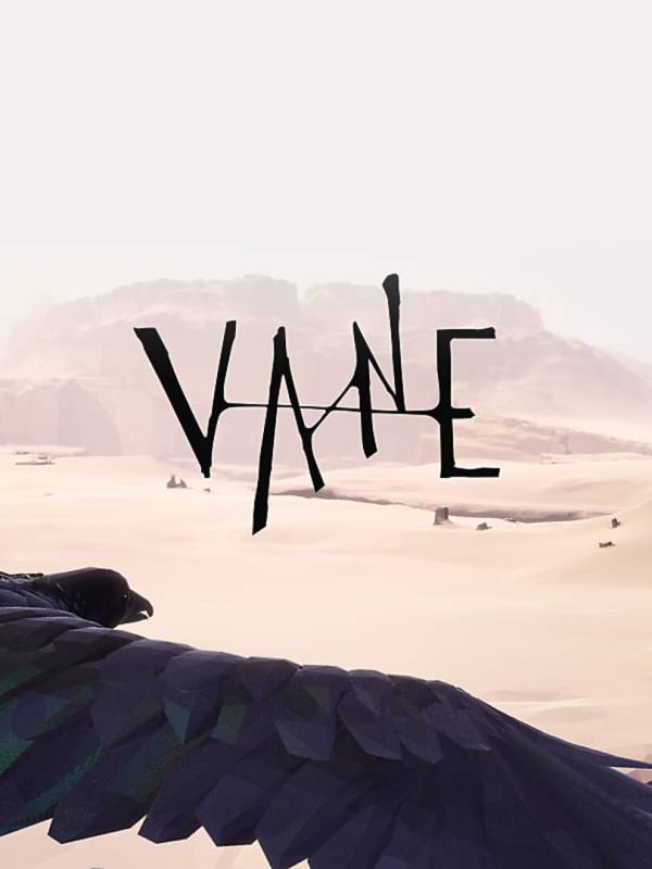 Vane image