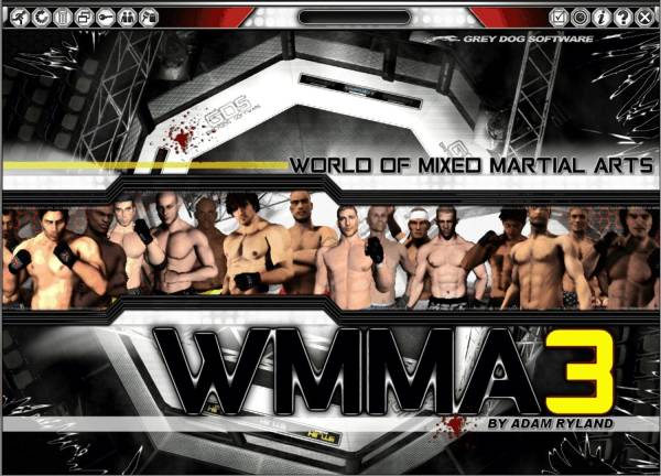 World of Mixed Martial Arts 3 image