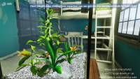 Aquarist: My First Job screenshot thumbnail