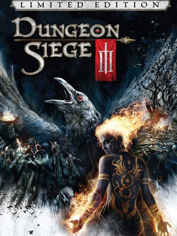 Dungeon Siege III: Limited Edition cover
