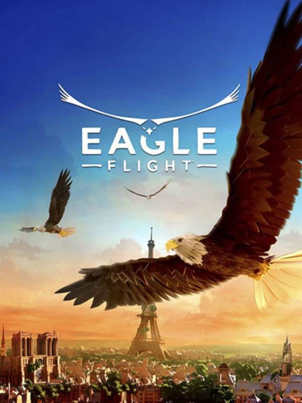 Eagle Flight image