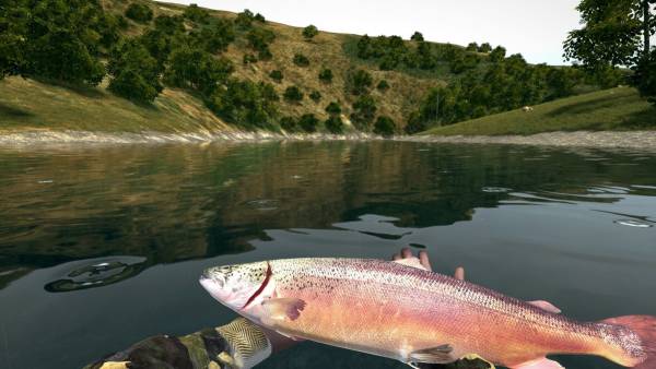 House Builder & Ultimate Fishing Simulator screenshot