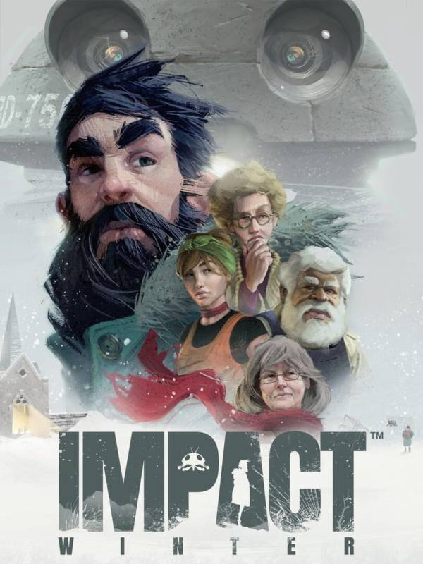 Impact Winter image