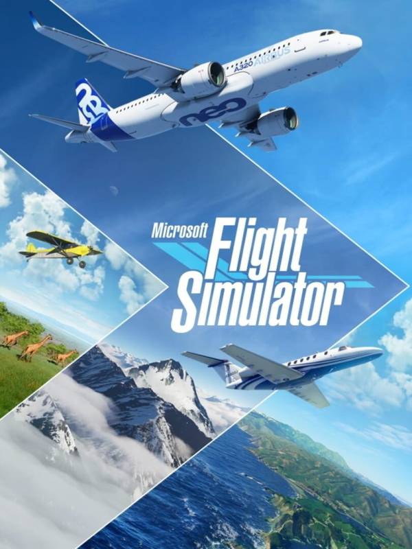 Microsoft Flight Simulator image