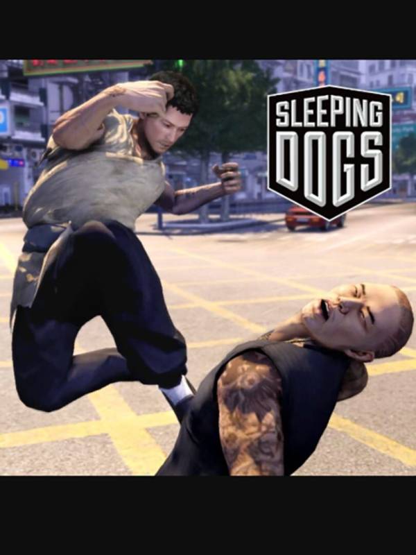 Sleeping Dogs: Drunken Fist Pack cover