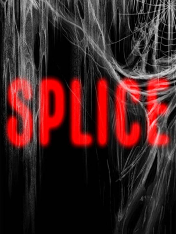 Splice image