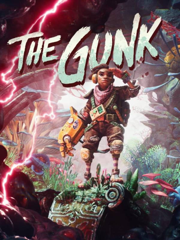 The Gunk image