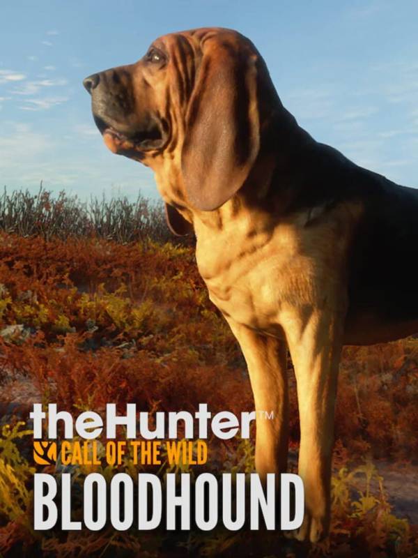 TheHunter: Call of the Wild - Bloodhound image