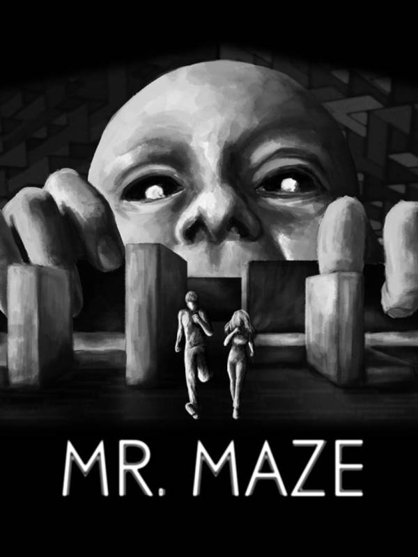 Mr. Maze image