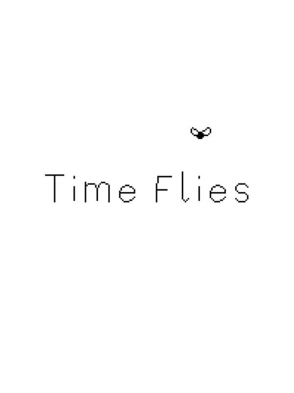 Time Flies image