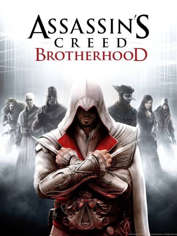 Assassin's Creed Brotherhood image