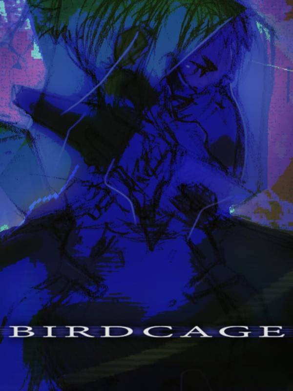 Birdcage image
