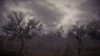 Breath of Life screenshot thumbnail