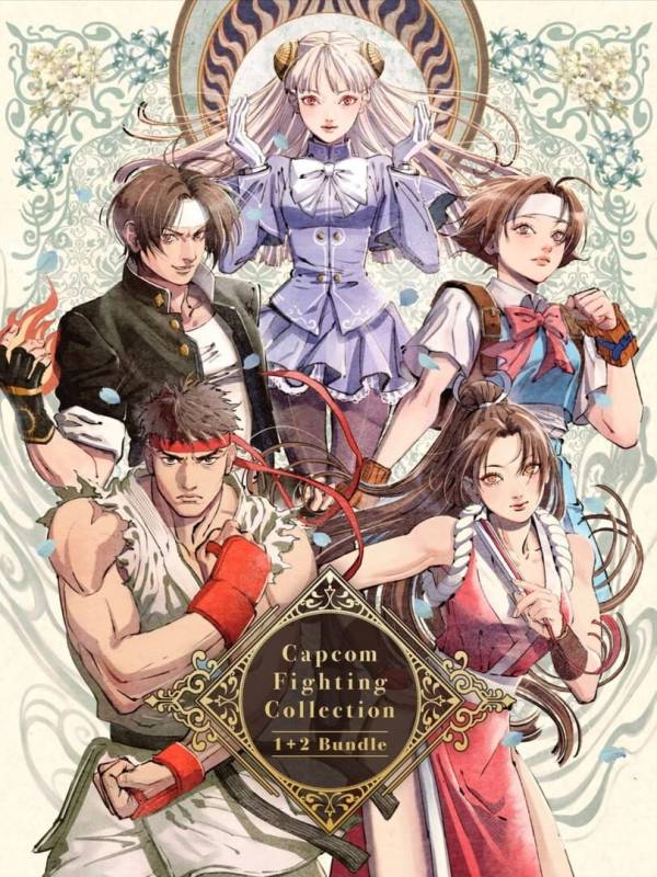 Capcom Fighting Collection 1 & 2 Bundle image
