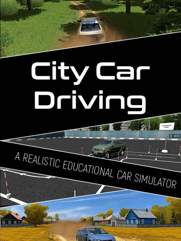 City Car Driving image