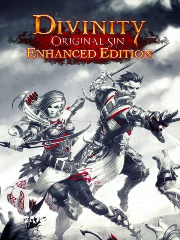 Divinity: Original Sin - Enhanced Edition image