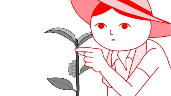Kuukiyomi: Consider It World - Thailand Ver. screenshot