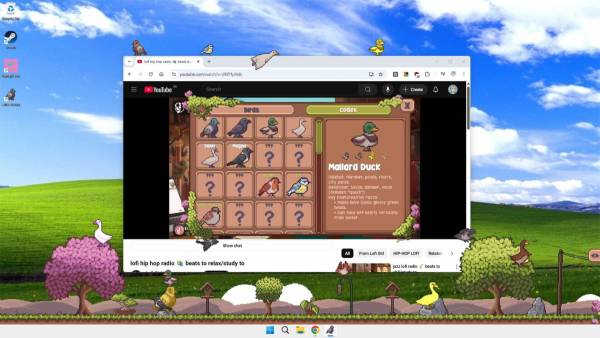 Little Aviary screenshot