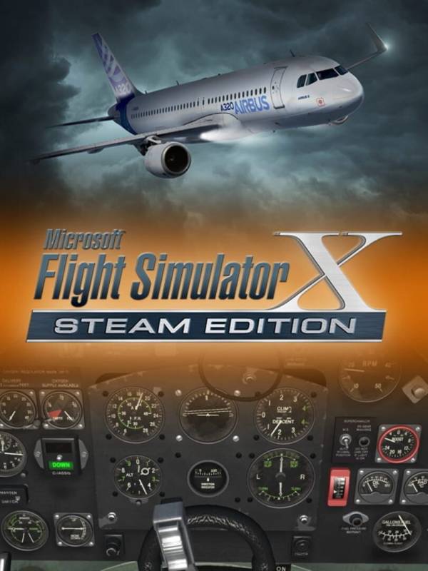 Microsoft Flight Simulator X: Steam Edition image