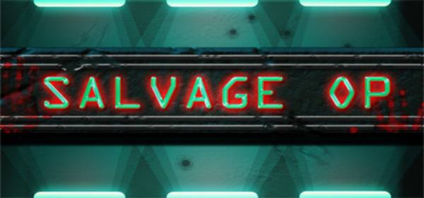 Salvage Op cover