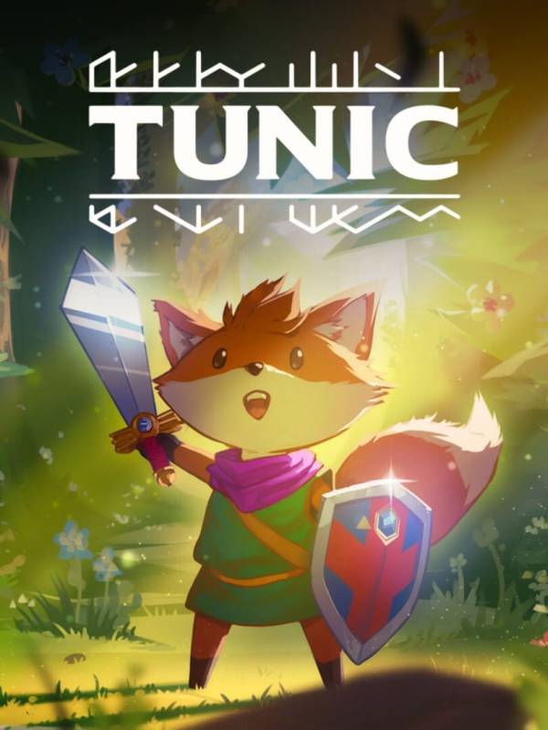 Tunic image