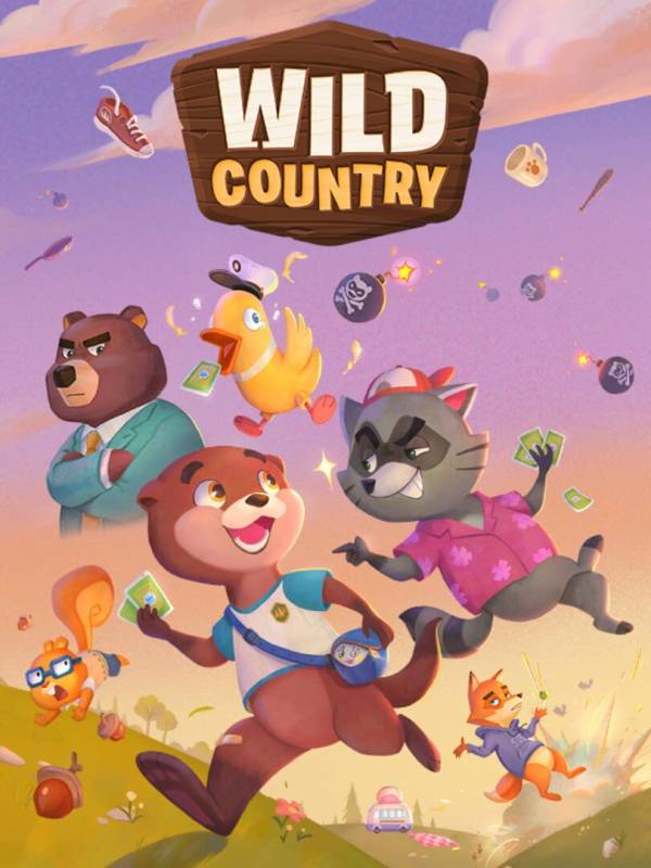 Wild Country image