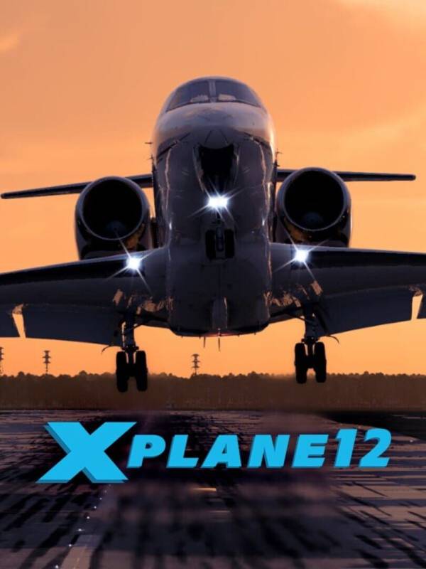 X-Plane 12 image