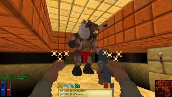 Barony: Cursed Edition screenshot