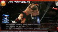 Fire Pro Wrestling World: Premium Edition screenshot thumbnail