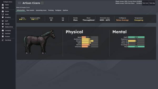 Horse Racing Manager screenshot