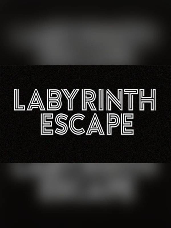 Labyrinth Escape cover