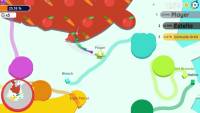 Paper io 2: Animals DLC screenshot thumbnail