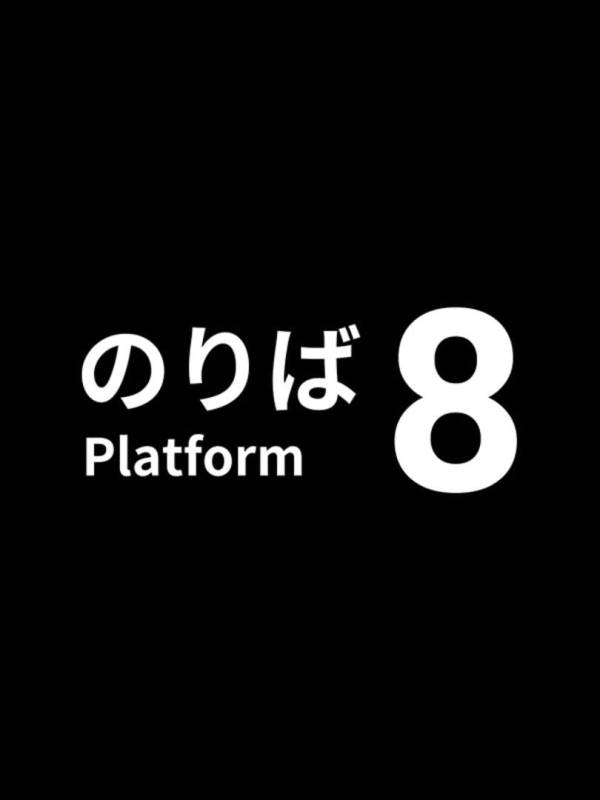 Platform 8 image
