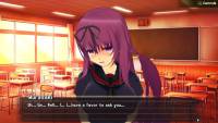 Senran Kagura Reflexions: Murasaki Reflexions Course & 7-Outfit Set screenshot thumbnail