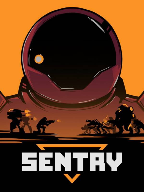 Sentry image