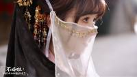 Sifu Kidnapped!: Adventure in the Women's Kingdom screenshot thumbnail