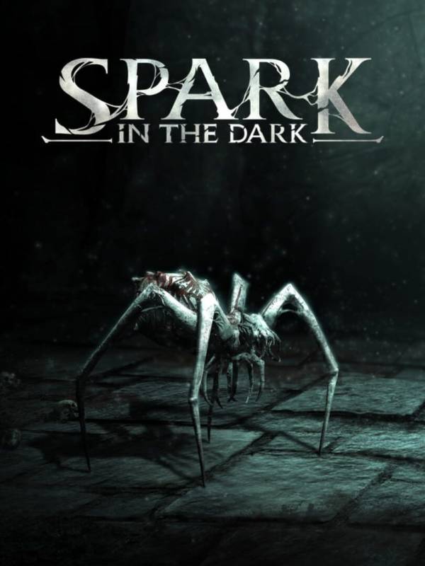 Spark in the Dark image