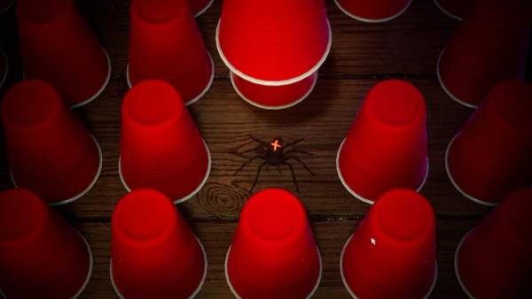 Spider Roulette screenshot