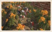 Trainz Railroad Simulator 2019: Cilie Oldphartz Railroad screenshot thumbnail