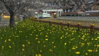 Trainz Railroad Simulator 2019: Japan - Model Trainz screenshot thumbnail