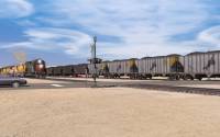 Trainz Railroad Simulator 2019: Lone Pine Branch screenshot thumbnail