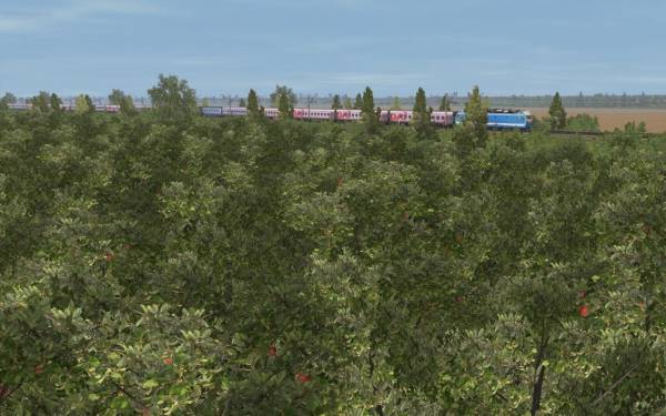 Trainz Railroad Simulator 2019: Znamensk-Svir screenshot