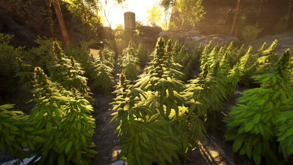 Weed Shop 4: Highland screenshot