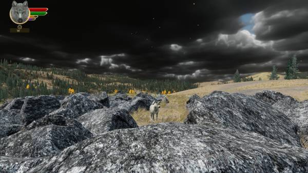 WolfQuest: Anniversary Edition - Hellroaring Mountain screenshot