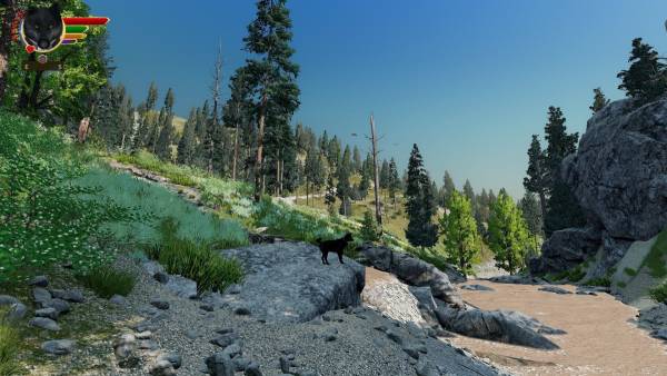 WolfQuest: Anniversary Edition - Hellroaring Mountain screenshot
