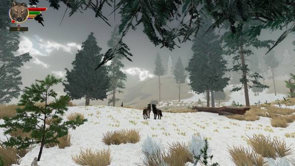 WolfQuest: Anniversary Edition - Hellroaring Mountain screenshot