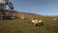 Ancient Cities screenshot thumbnail